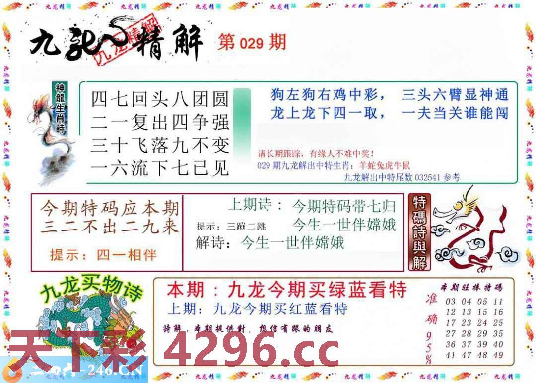 ：九龙精解